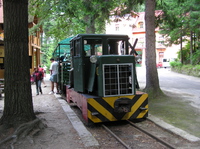 Erdei kisvasút